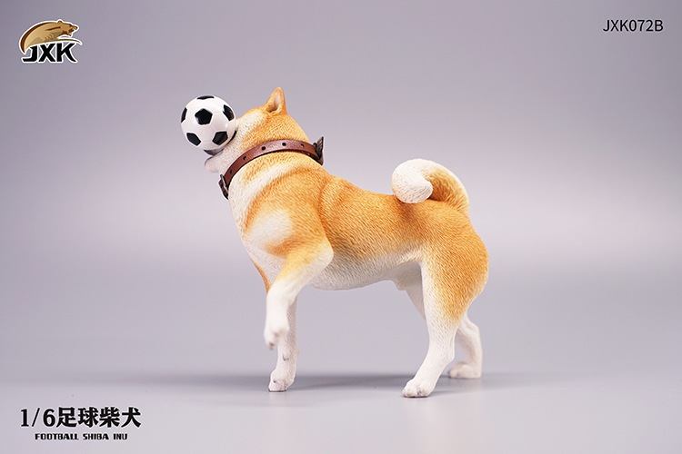 Frisbee Shiba Inu and Football 1/6