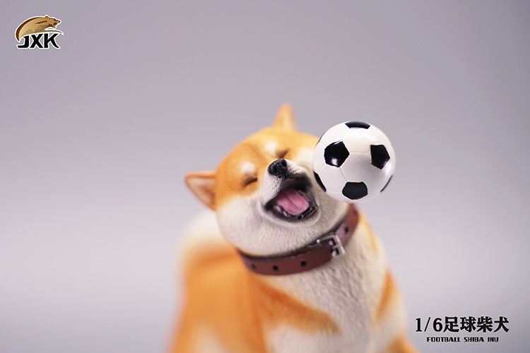 Frisbee Shiba Inu and Football 1/6