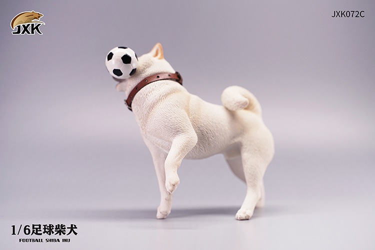 Frisbee Shiba Inu and Football 1/6