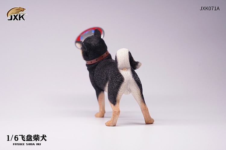 Frisbee Shiba Inu and Football 1/6