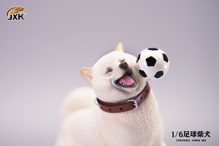 Frisbee Shiba Inu and Football 1/6