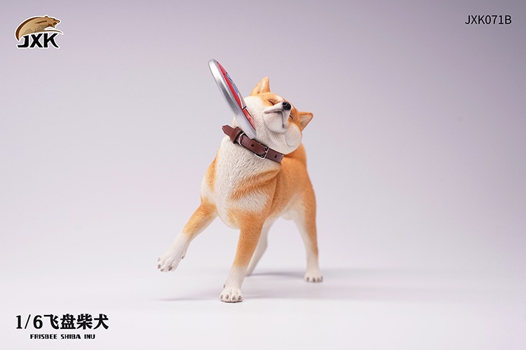 Frisbee Shiba Inu and Football 1/6