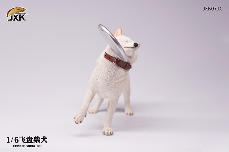 Frisbee Shiba Inu and Football 1/6
