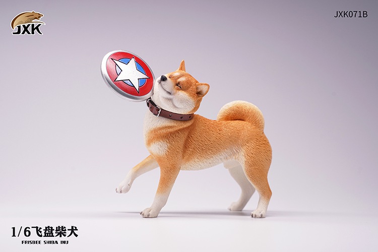 Frisbee Shiba Inu and Football 1/6