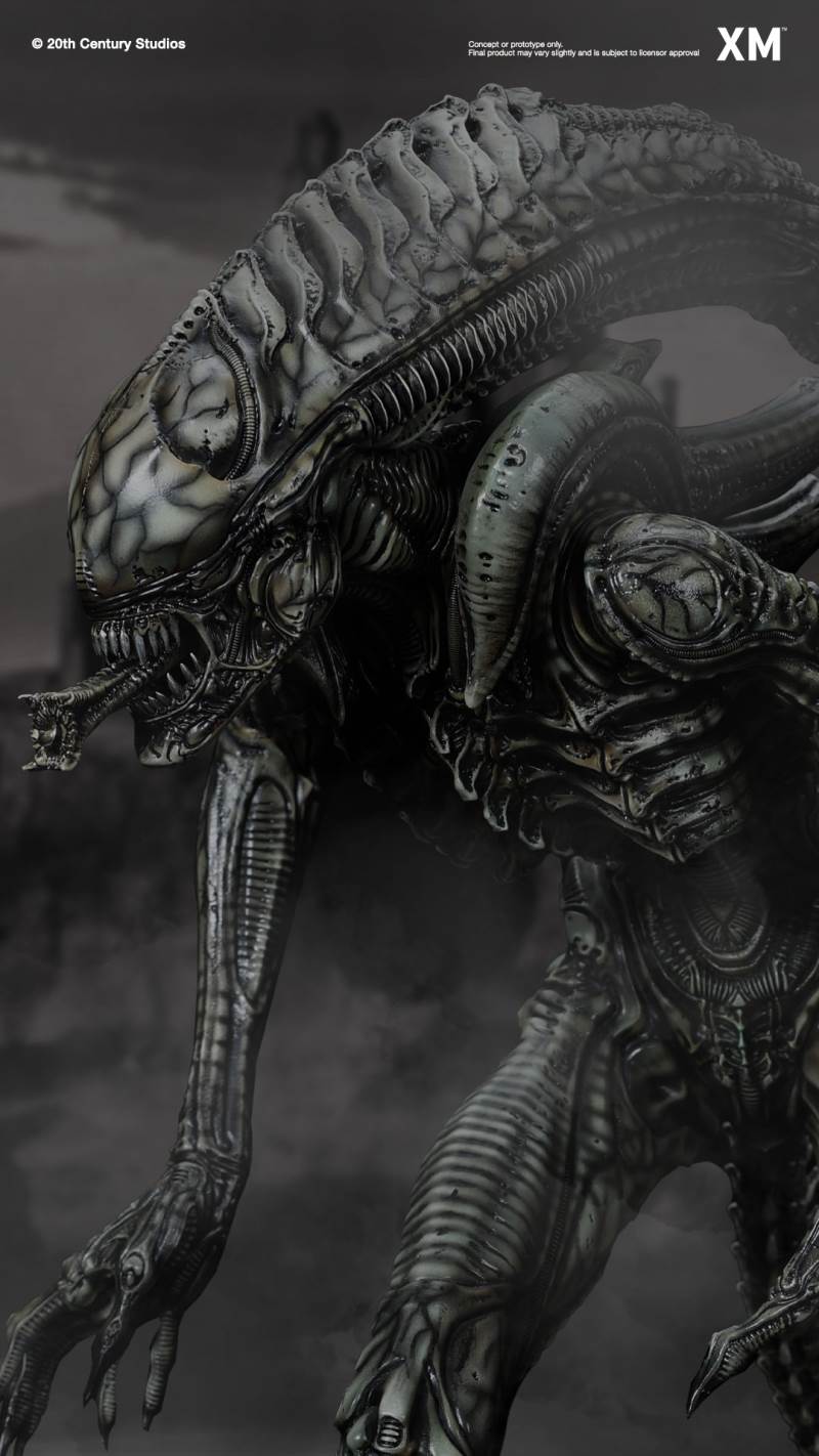 Alien Hive-Warrior - Black Variant