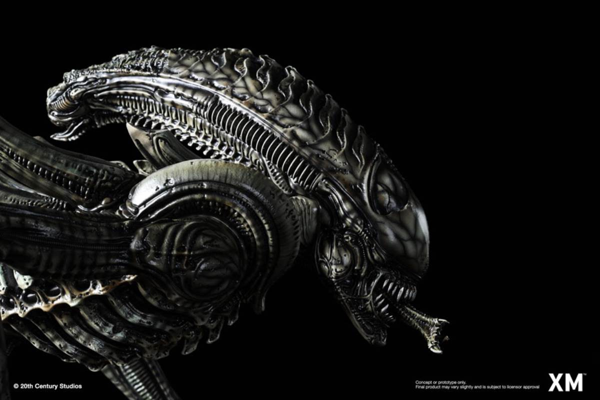 Alien Hive-Warrior - Black Variant