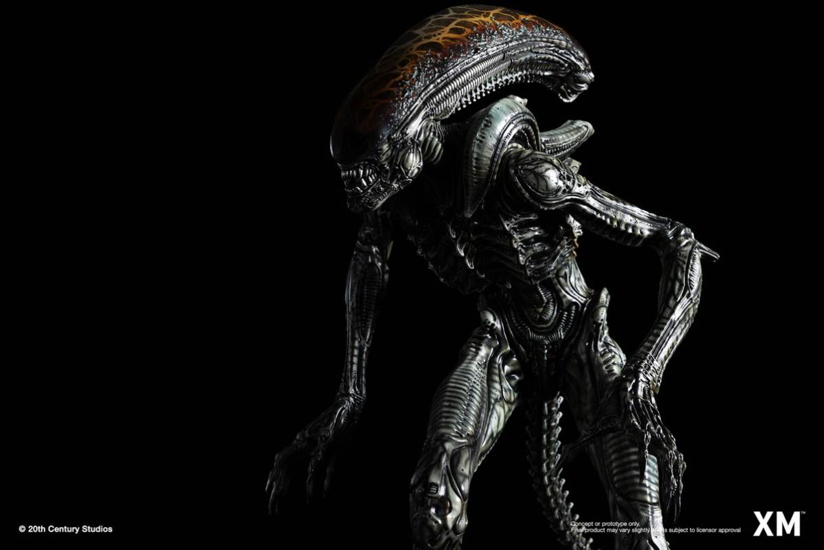 Alien Hive-Warrior - Black Variant