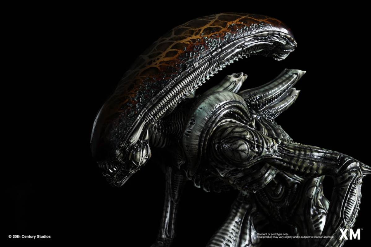Alien Hive-Warrior - Black Variant