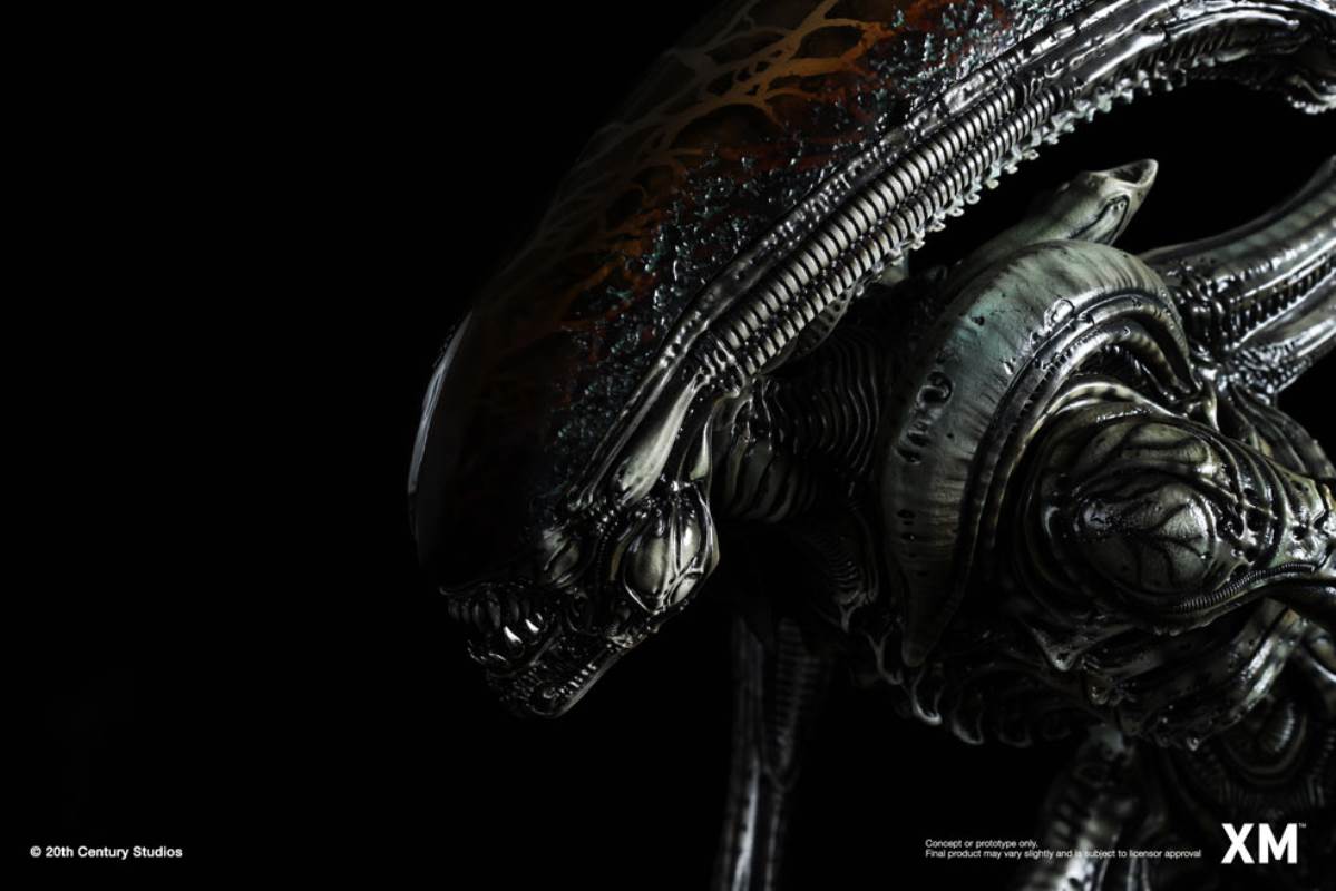Alien Hive-Warrior - Black Variant