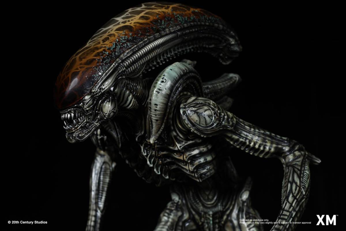 Alien Hive-Warrior - Black Variant