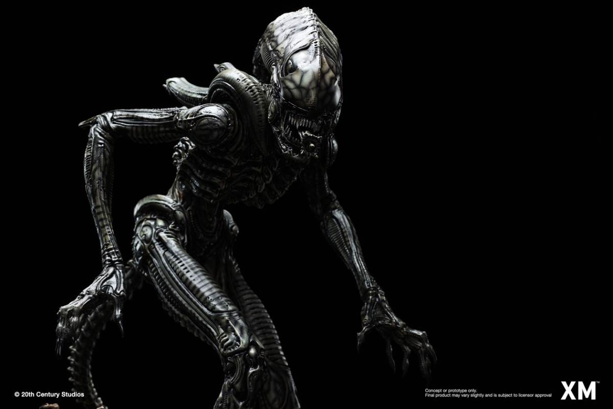 Alien Hive-Warrior - Black Variant