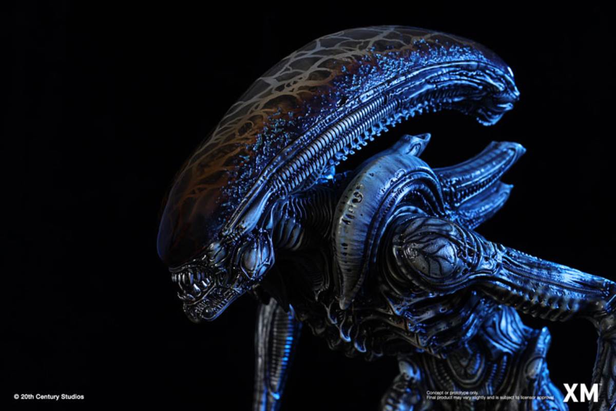 Alien Hive-Warrior - Black Variant