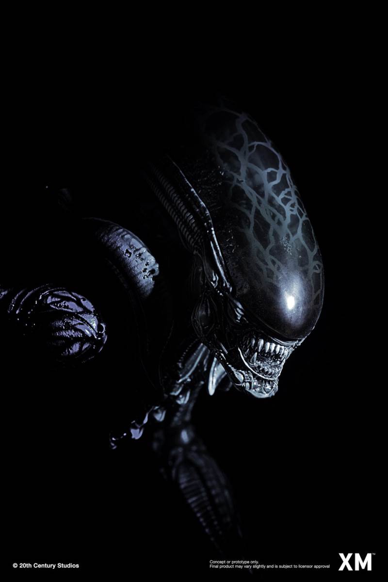 Alien Hive-Warrior - Black Variant