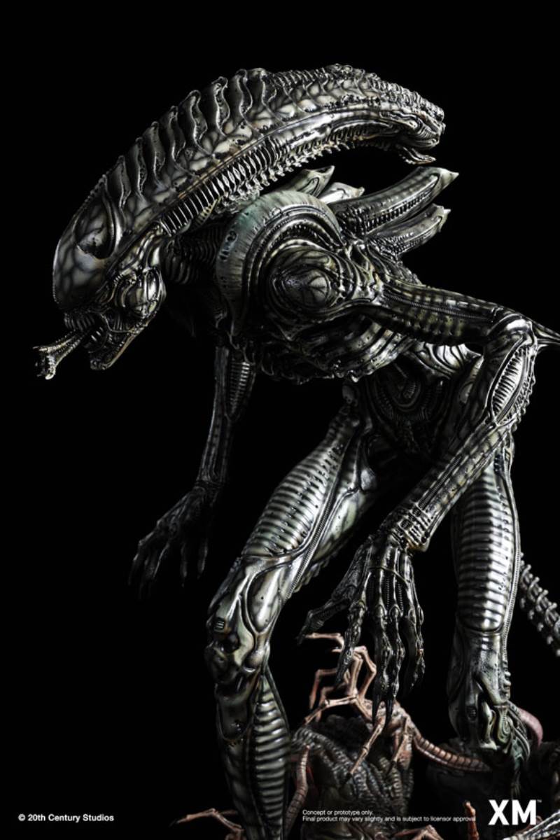 Alien Hive-Warrior - Black Variant