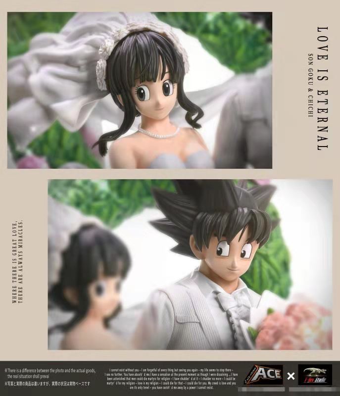 Goku & ChiChi wedding – Dragon Ball