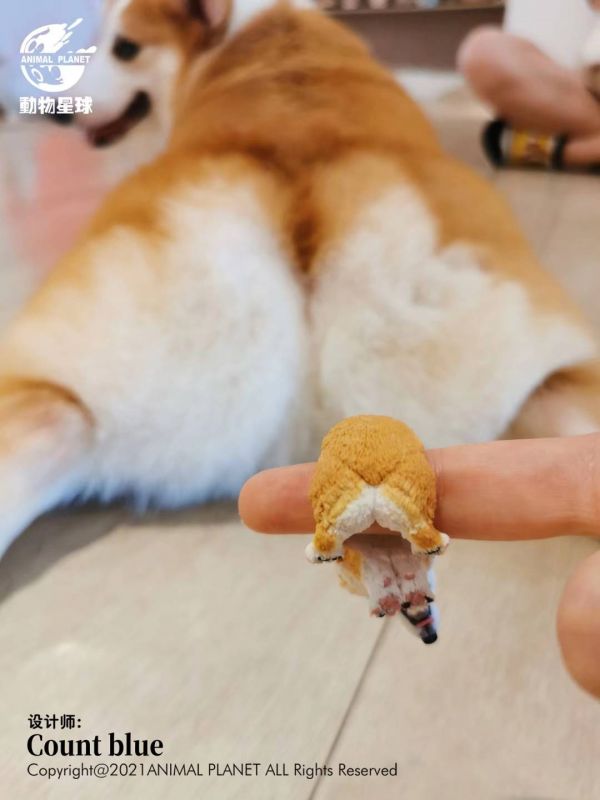 Count Blue Ring Dog