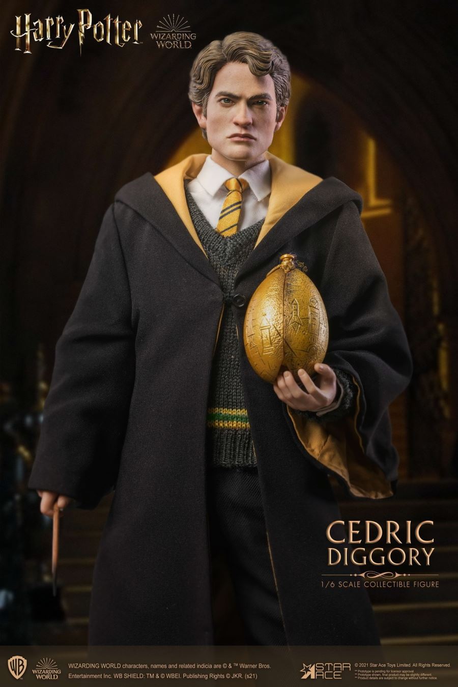 Harry Potter - Cedric Diggory 1/6