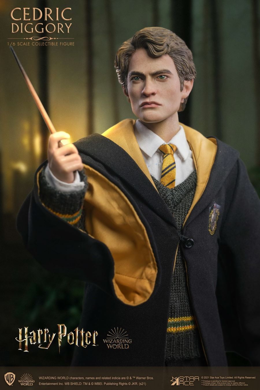 Harry Potter - Cedric Diggory 1/6