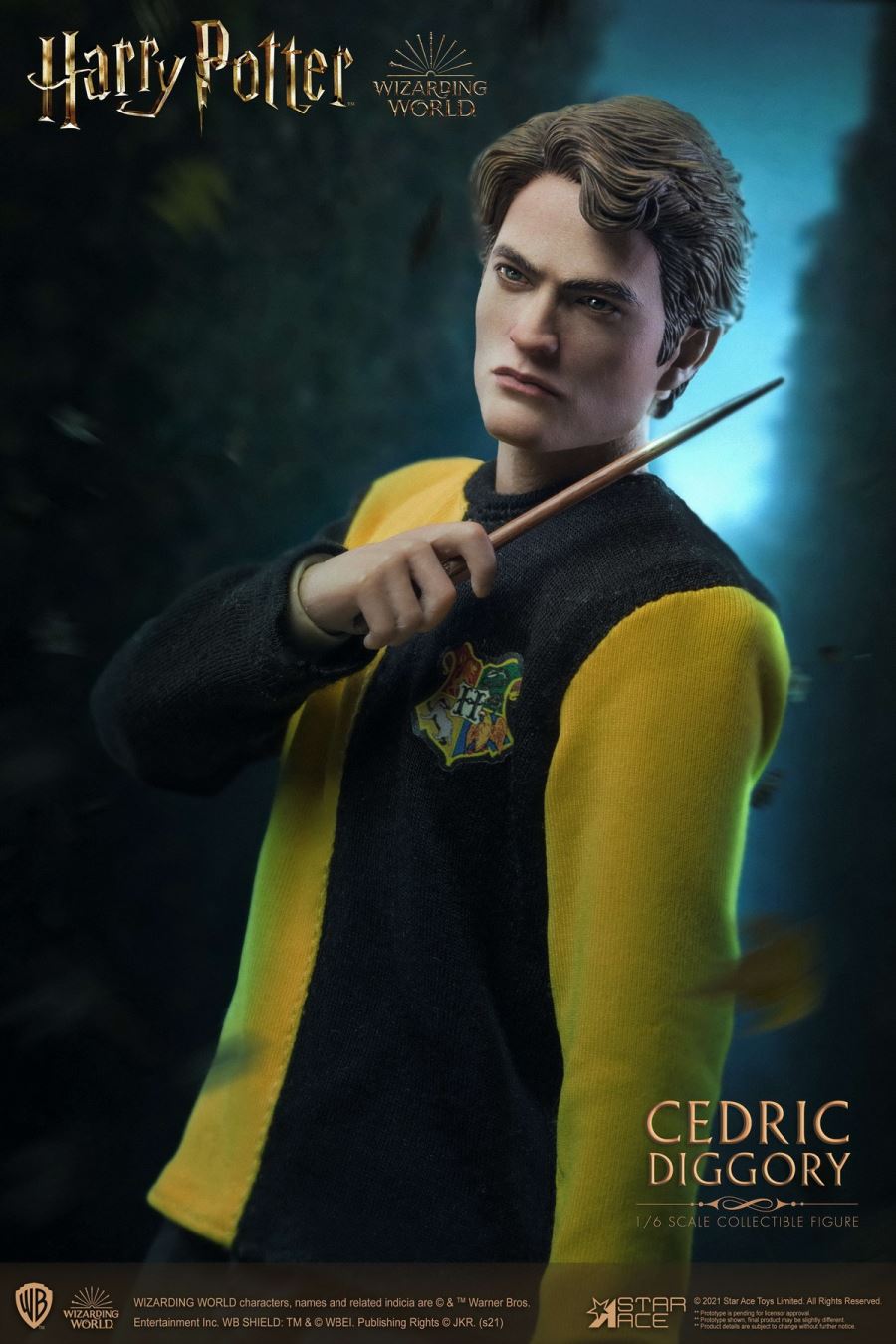 Harry Potter - Cedric Diggory 1/6