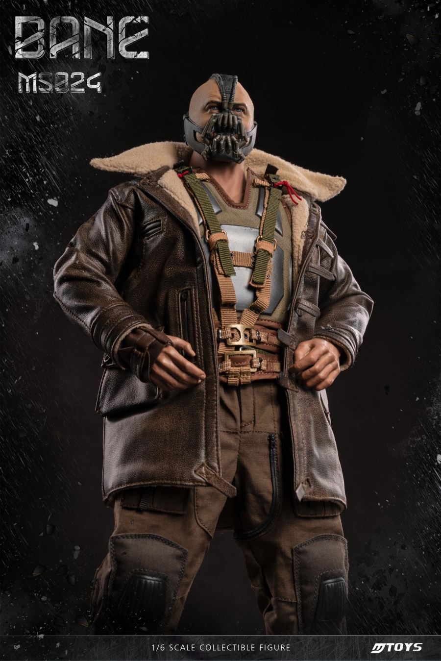 BANE Destroyer 1/6
