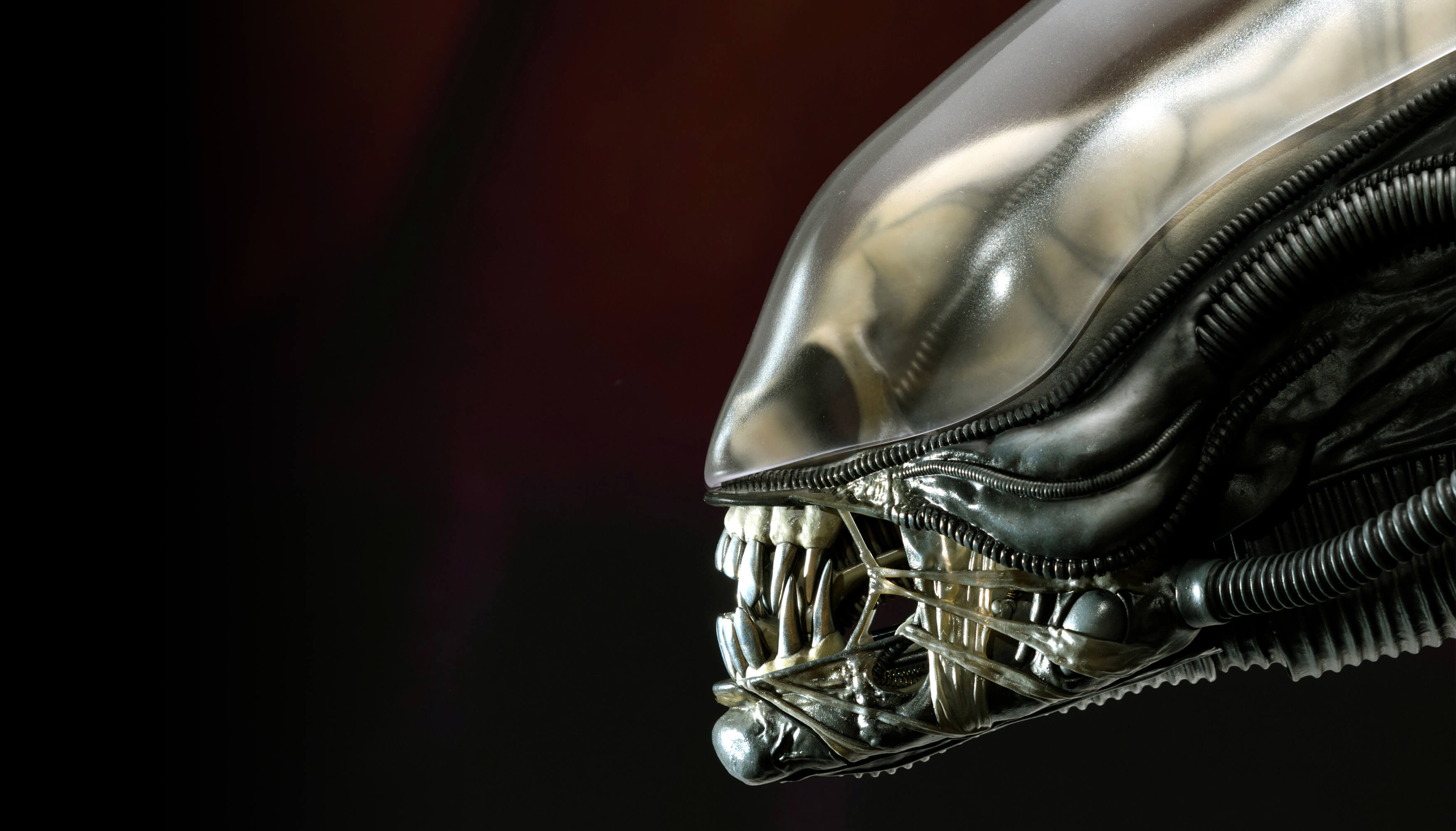Alien / Big Chap: 1/2 Scale Head Close-up Shot Ver.