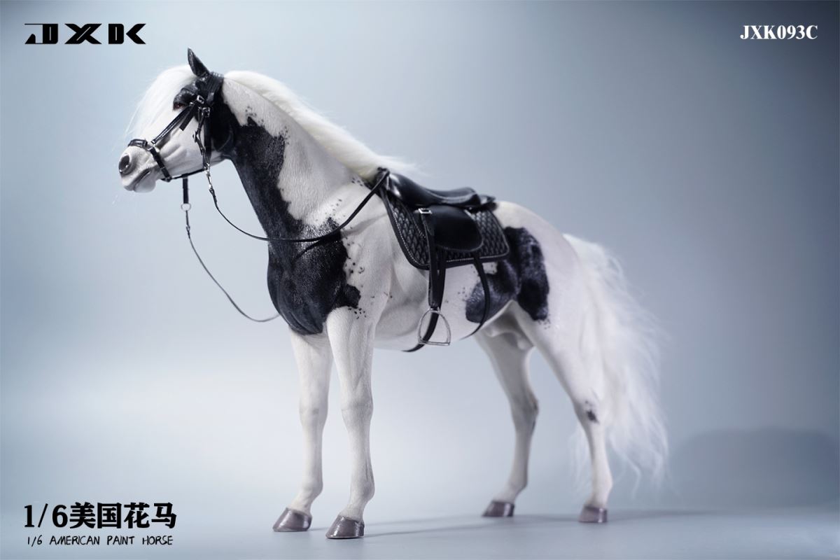 American Pinto JXK094 Animal Model 1/6