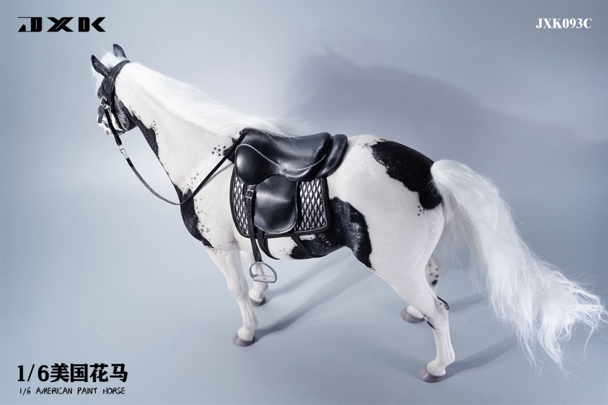 American Pinto JXK094 Animal Model 1/6