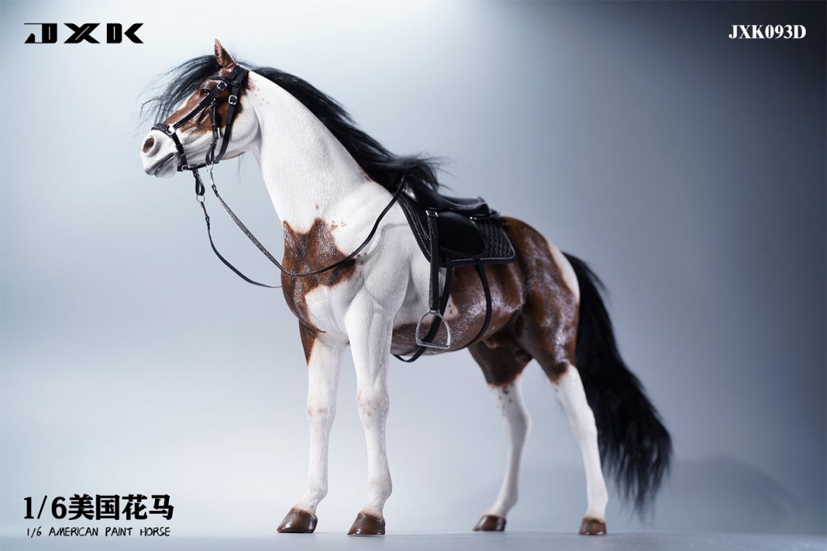 American Pinto JXK094 Animal Model 1/6