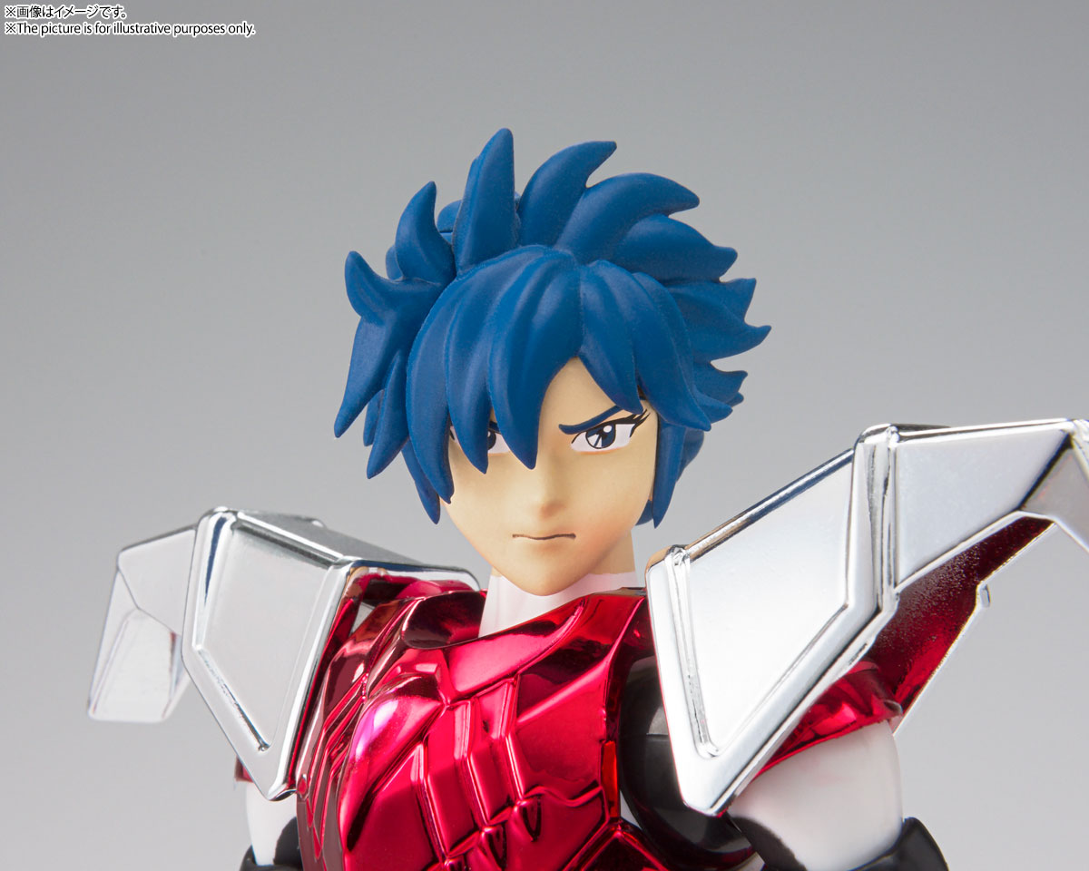Saint Cloth Myth Steel Saint Cloth Sho 