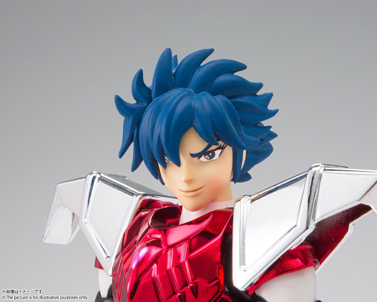 Saint Cloth Myth Steel Saint Cloth Sho 
