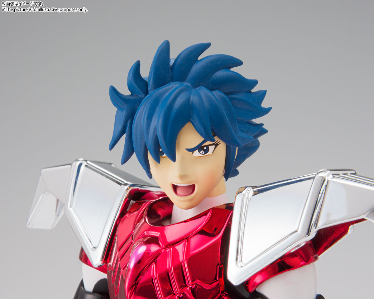 Saint Cloth Myth Steel Saint Cloth Sho 