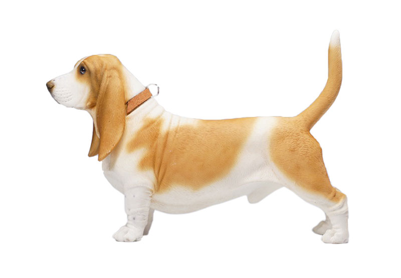 Basset Hound A 1/6