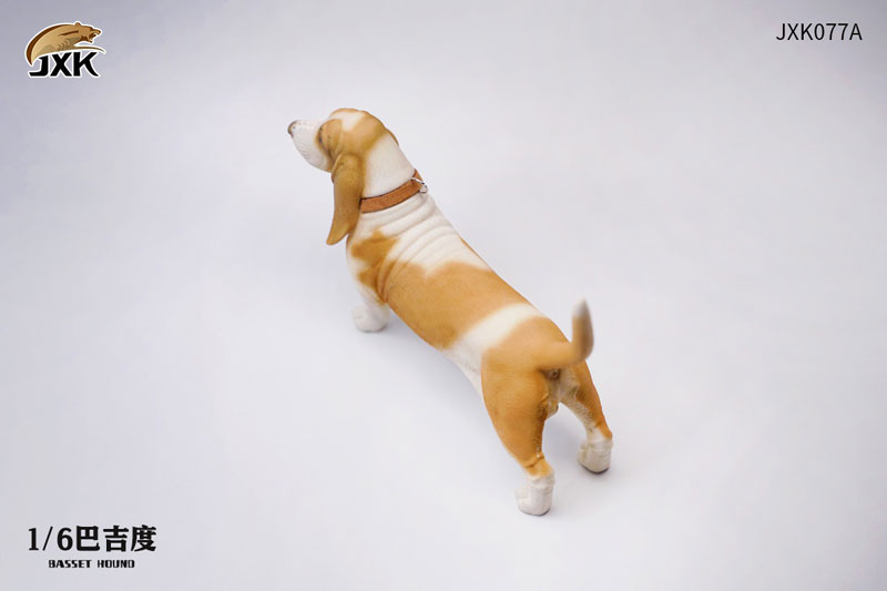 Basset Hound A 1/6