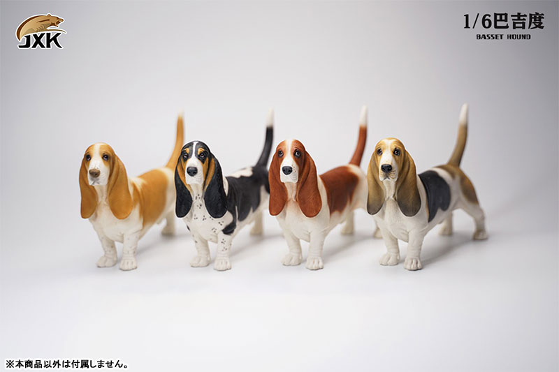 Basset Hound A 1/6