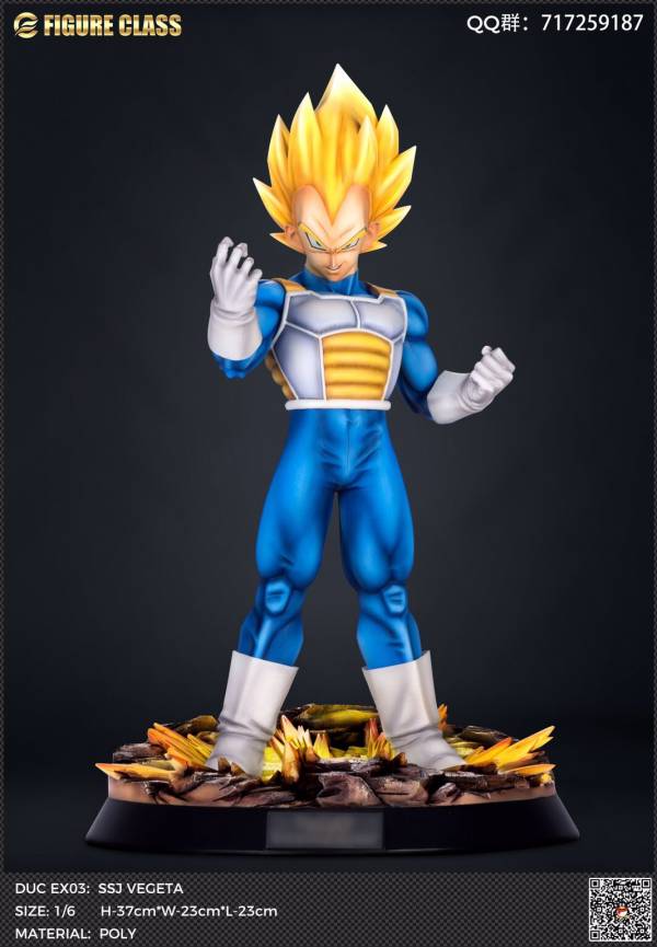 Vegeta 1/6