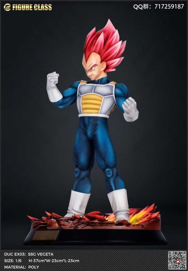 Vegeta 1/6
