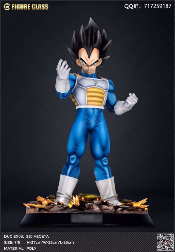 Vegeta 1/6