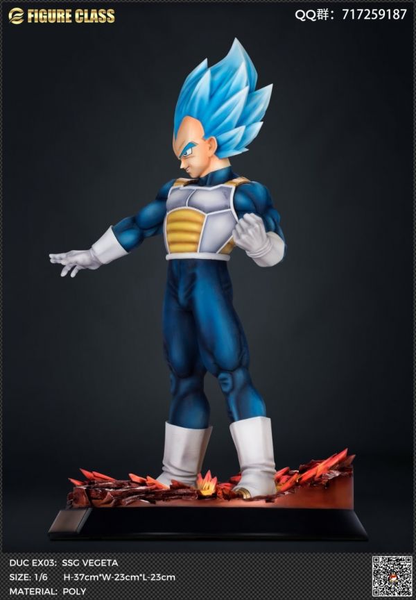 Vegeta 1/6