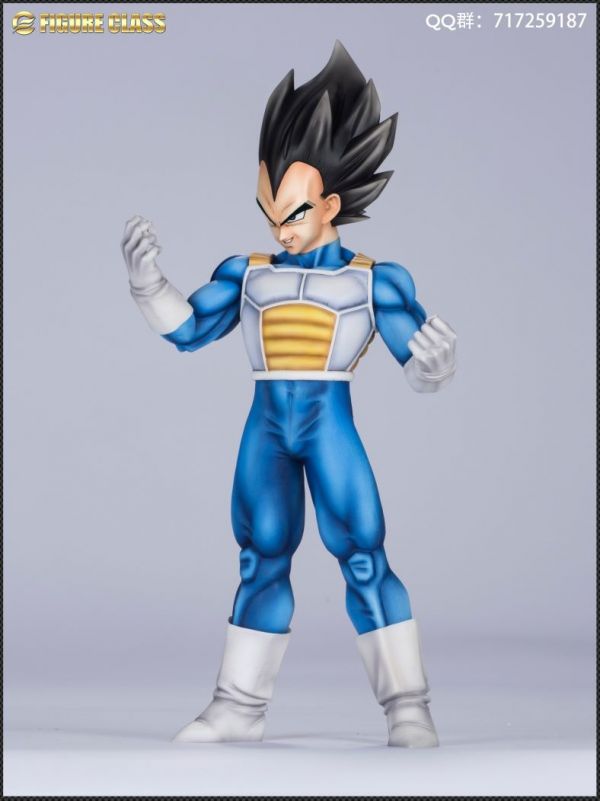 Vegeta 1/6