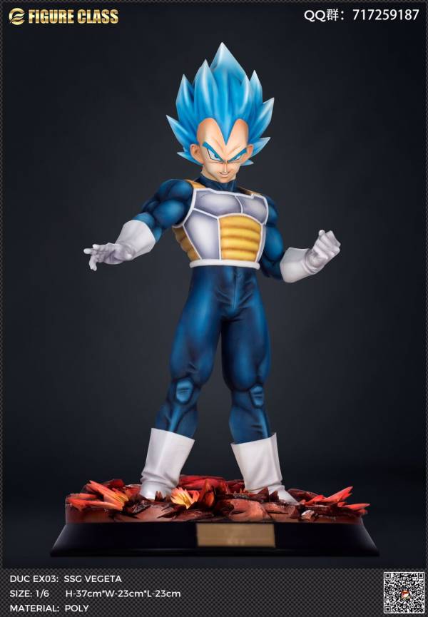 Vegeta 1/6