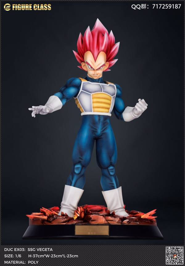 Vegeta 1/6