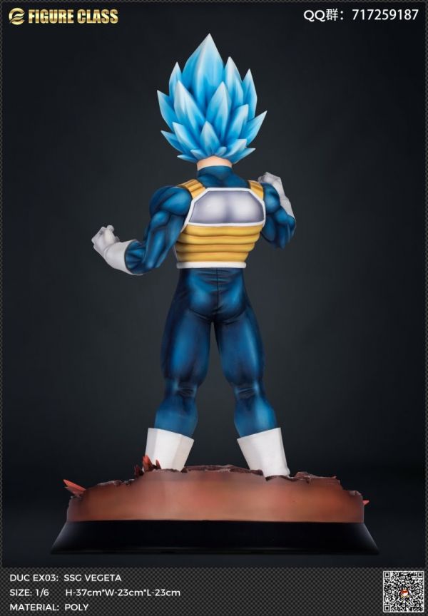 Vegeta 1/6