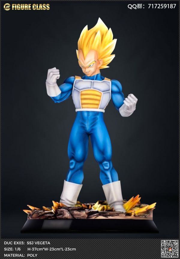 Vegeta 1/6