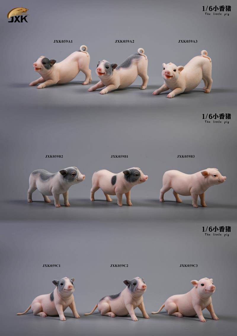 The little pig