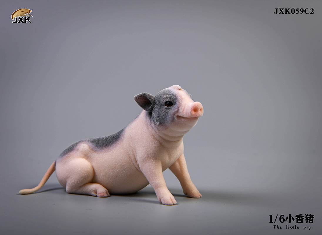 The little pig