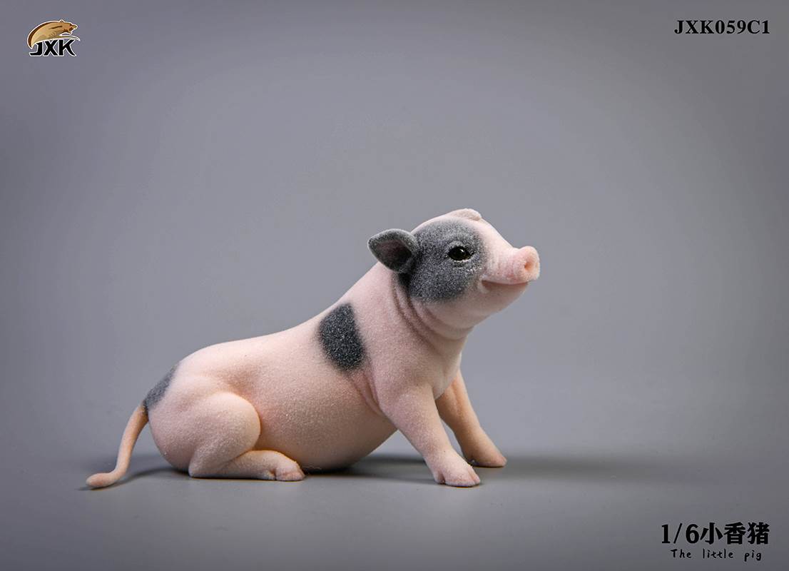 The little pig