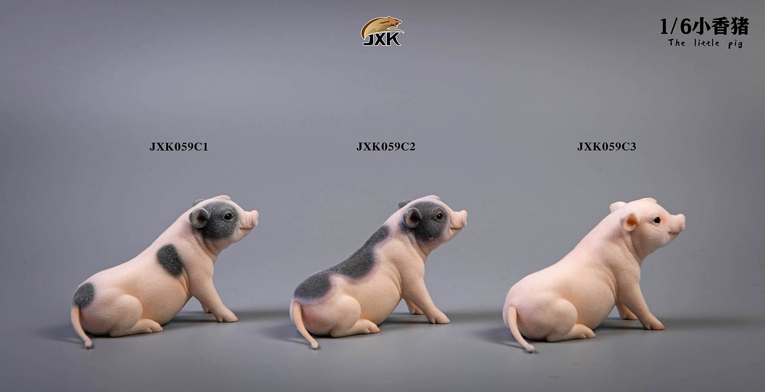 The little pig