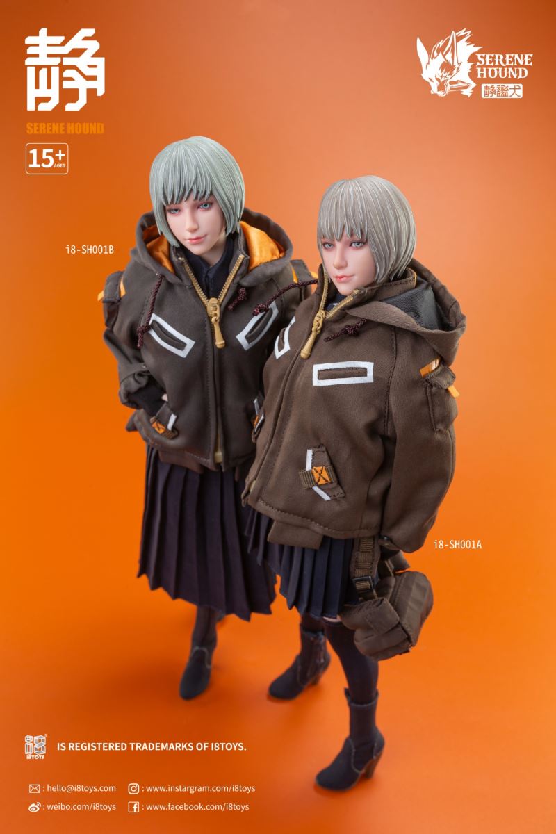 Quiet Dog Wardrobe-Tactical Jacket 1/6