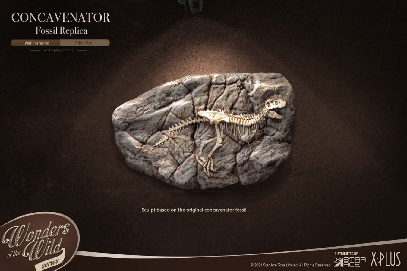 Kunkka Dragon Hunting and Dragon Fossil