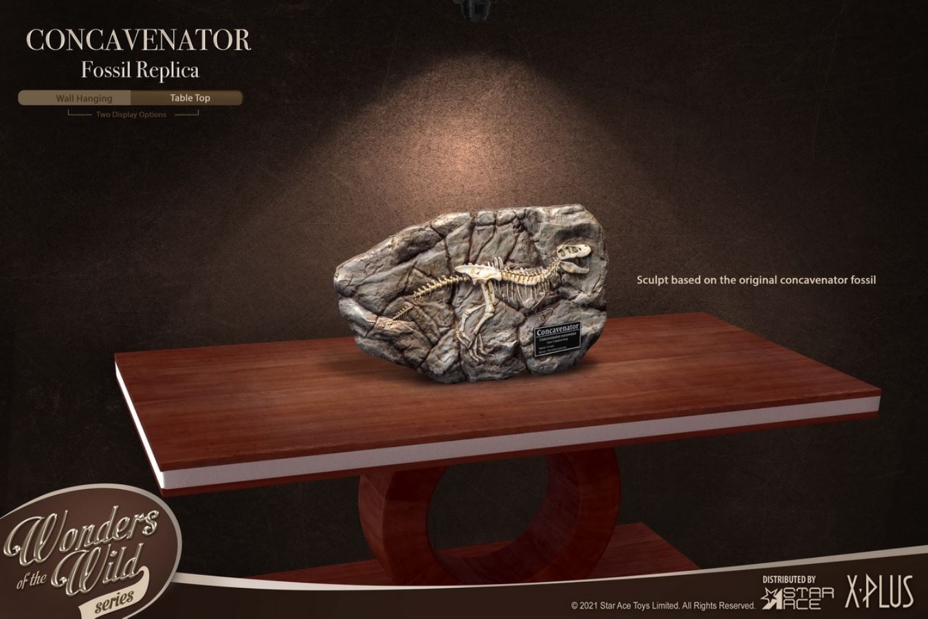 Kunkka Dragon Hunting and Dragon Fossil